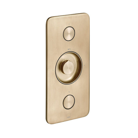 Vado Zone 2 Outlet Concealed Thermostatic Shower Valve with Push Button Control - Brushed Gold - IND-Z128/2-BRG