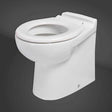 White RAK-Junior Back to Wall WC Pan with high-gloss vitreous china finish and compact modern design