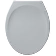 Armitage Shanks Astra Toilet Seat and Cover - White - S405001