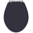 Hudson Reed Richmond Traditional Chrome Hinges Soft Close Toilet Seat 