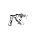 Mira Virtue Bath Filler Tap - 2.1820.004
