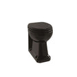Burlington Back-to-Wall WC Pan 425 x 360mm - Jet Black - P14JET