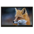 ProofVision 24-inch premium widescreen waterproof bathroom TV in black with slim profile and anti-fog screen displaying a fox image.