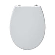 Armitage Shanks Contour 21 Toilet Seat and Cover - White - S405601