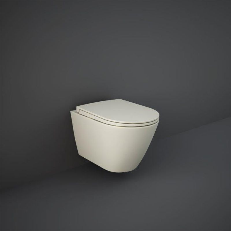 RAK Feeling Rimless Wall Hung Pan - Matt Greige - RST23505A