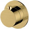 Rak Petit Round Concealed Diverter Dual Outlet - Brushed Gold - RAKPER3020-2G