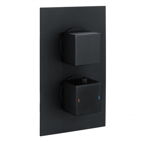 RAK Dual Handle Square 2 Outlet Concealed Thermostatic Shower Valve - Black - RAKSHW3202SB