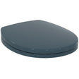 Armitage Shanks Contour 21 Toilet Seat and Cover - Charcoal - S4065RN