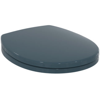 Armitage Shanks Contour 21 Toilet Seat and Cover - Charcoal - S4065RN