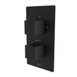 Tavistock Index Dual Function Shower Valve - Black - SND1614 - TAP 'N' SHOWER