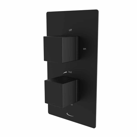 Tavistock Index Dual Function Shower Valve - Black - SND1614 - TAP 'N' SHOWER