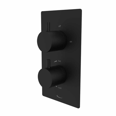 Tavistock Quantum Dual Function Shower Valve - Black - SQT1621 - TAP 'N' SHOWER