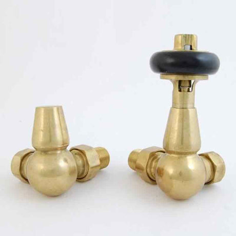 Towelrads Corner TRV and Lockshield - Unlacquered Brass with Black Handle - 129063