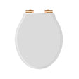Launde Abbey Victrion White Matt Toilet Soft Close Seat -  Copper
