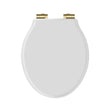 Launde Abbey Victrion White Matt Toilet Soft Close Seat -  Gold