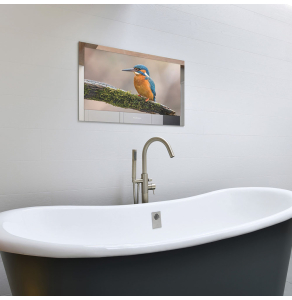 ProofVision 32" Premium Widescreen Waterproof Bathroom TV With Mirror Finish - PV32MF PV32MF